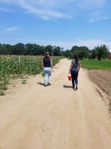 Farm road