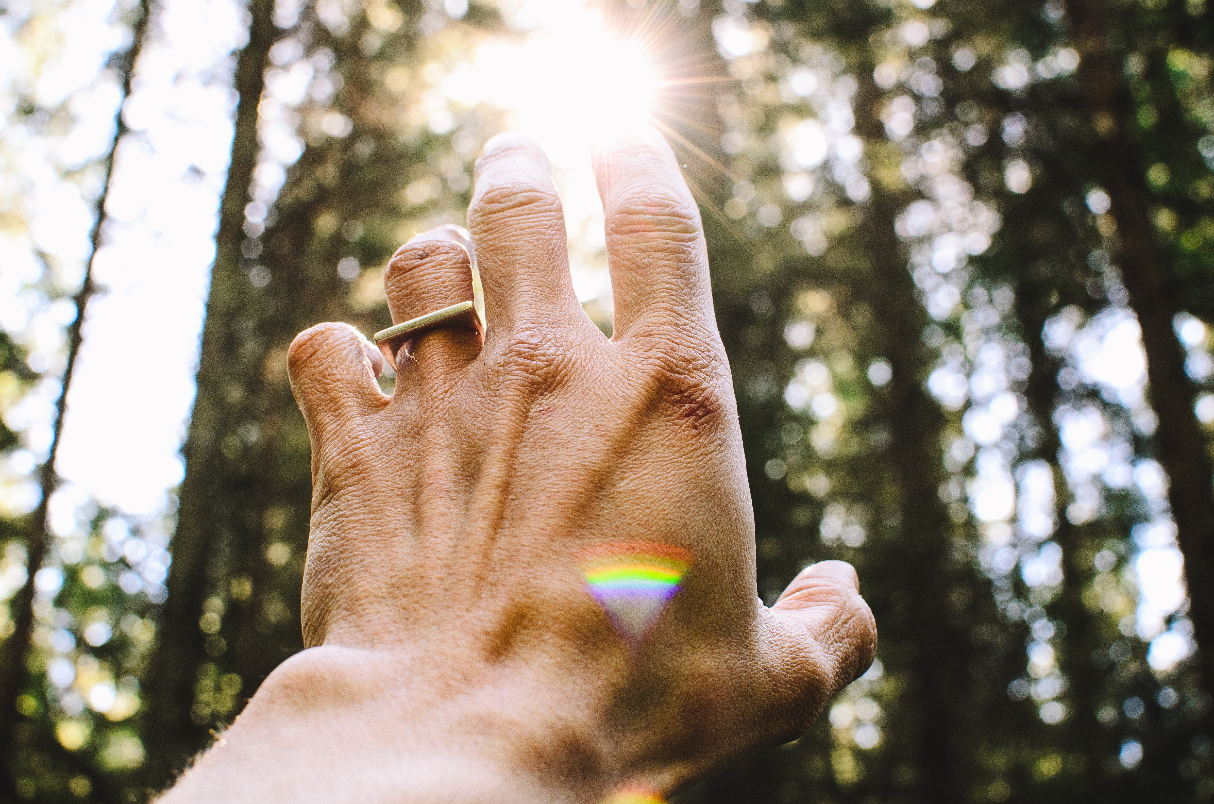 Hand reaching toward the sun