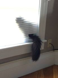 11792040_10206212010551950_5749560414556876074_o