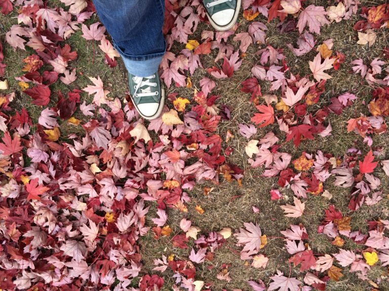 New England really knows how to die.