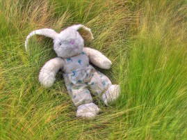 04900_Toy_Rabbit