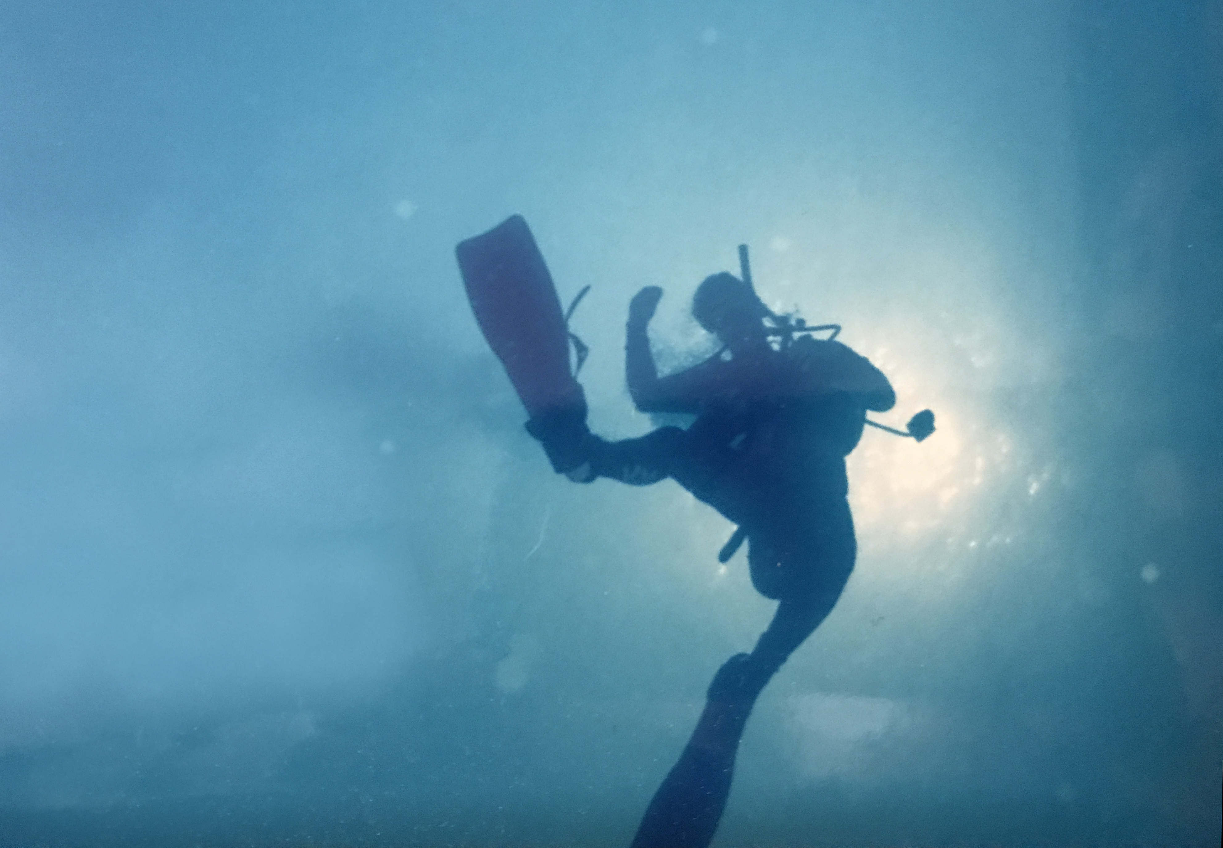 diver